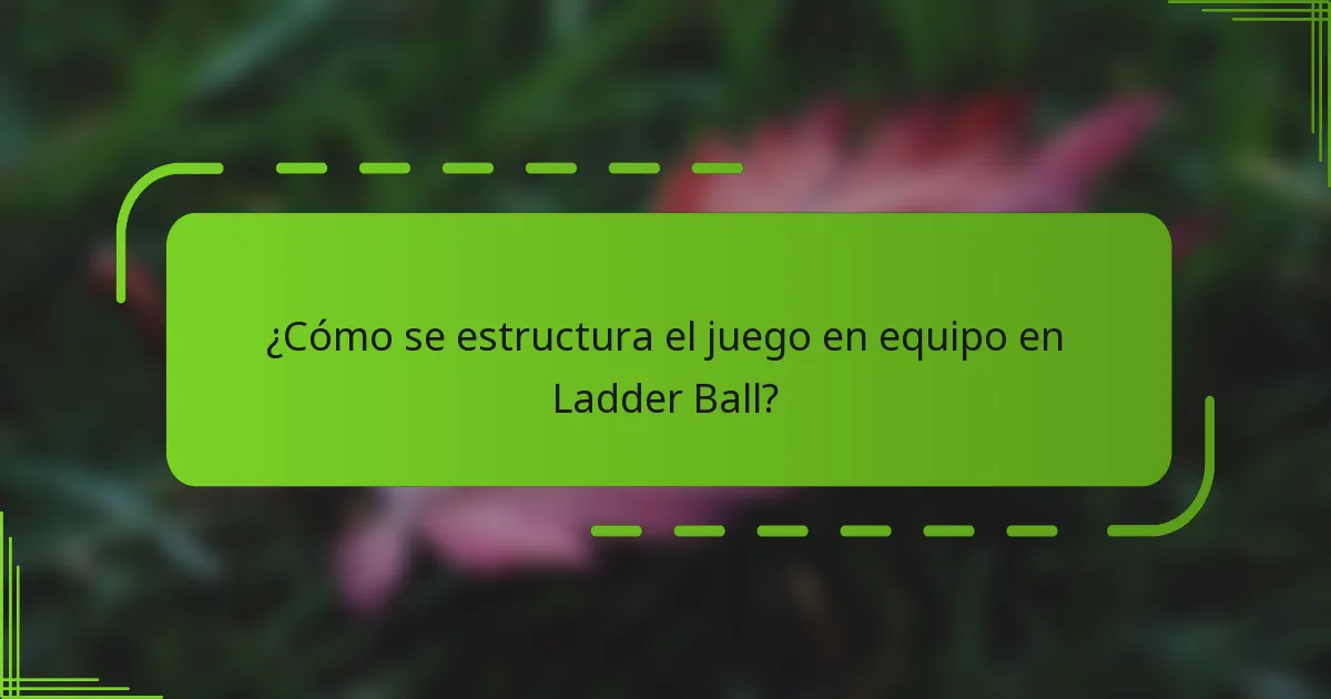 ¿Cómo se estructura el juego en equipo en Ladder Ball?