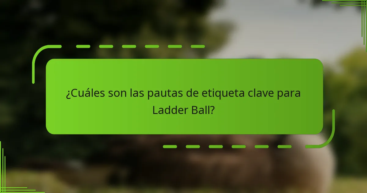 ¿Cuáles son las pautas de etiqueta clave para Ladder Ball?