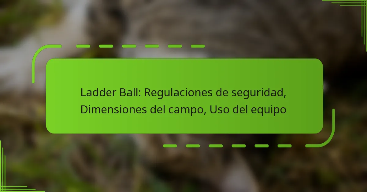 Ladder Ball: Regulaciones de seguridad, Dimensiones del campo, Uso del equipo